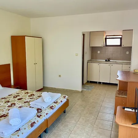 чайка Byala (Varna)