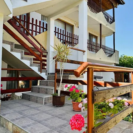 чайка Byala (Varna)