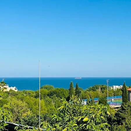 Affittacamere чайка