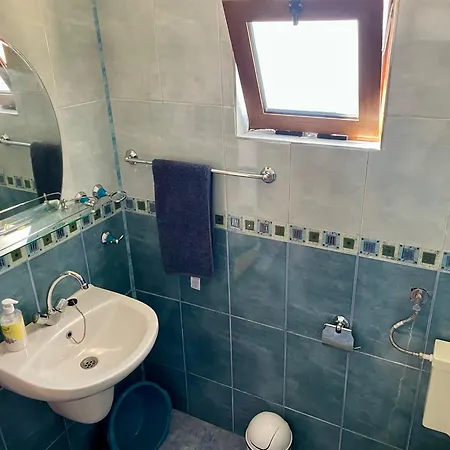 чайка Byala (Varna)